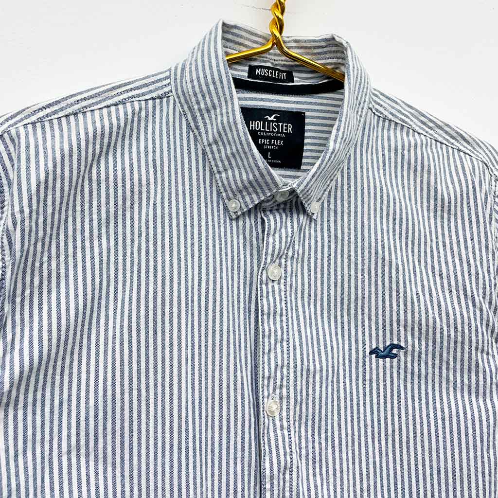hollister_2906_2