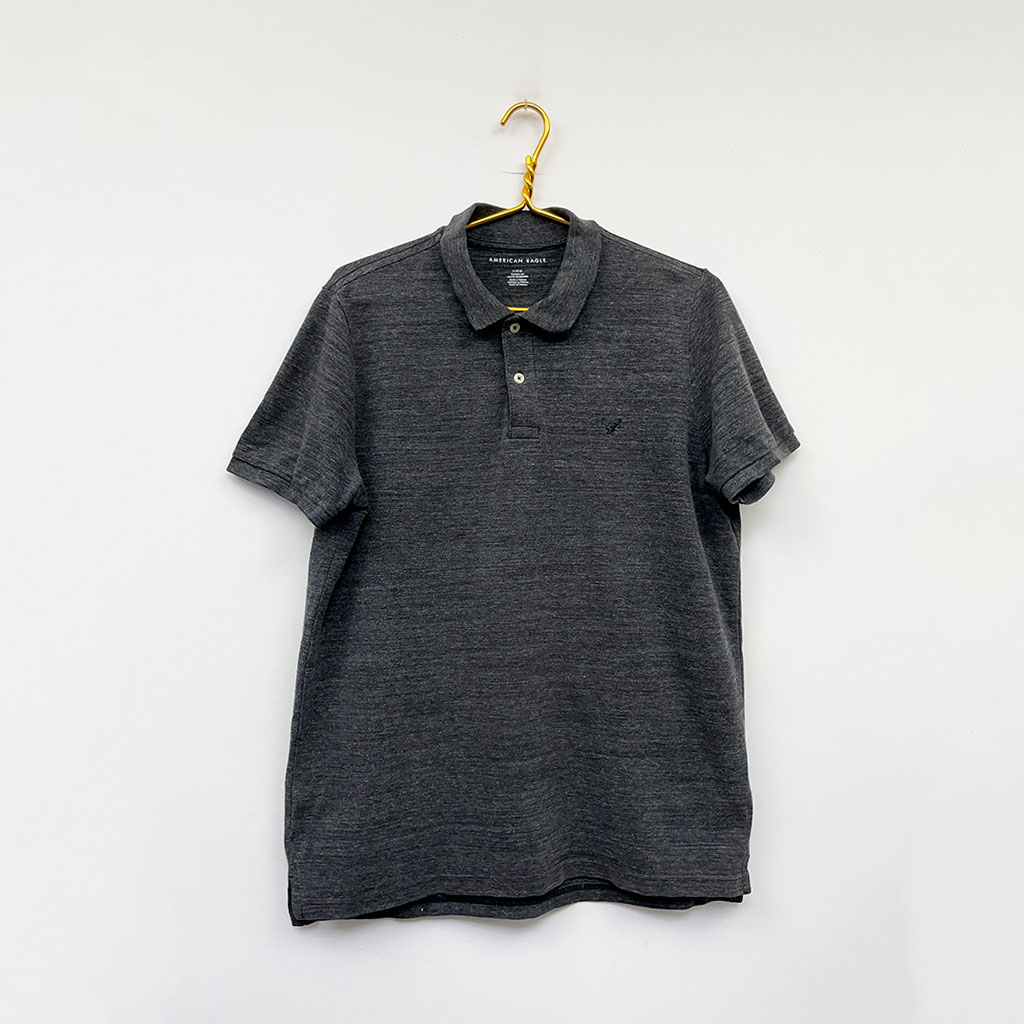 american_eagle_3383 american_eagle_3383