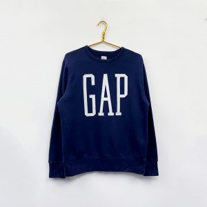 gap_4093