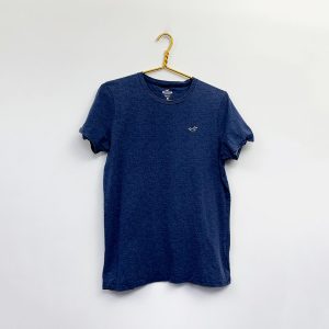hollister_5304