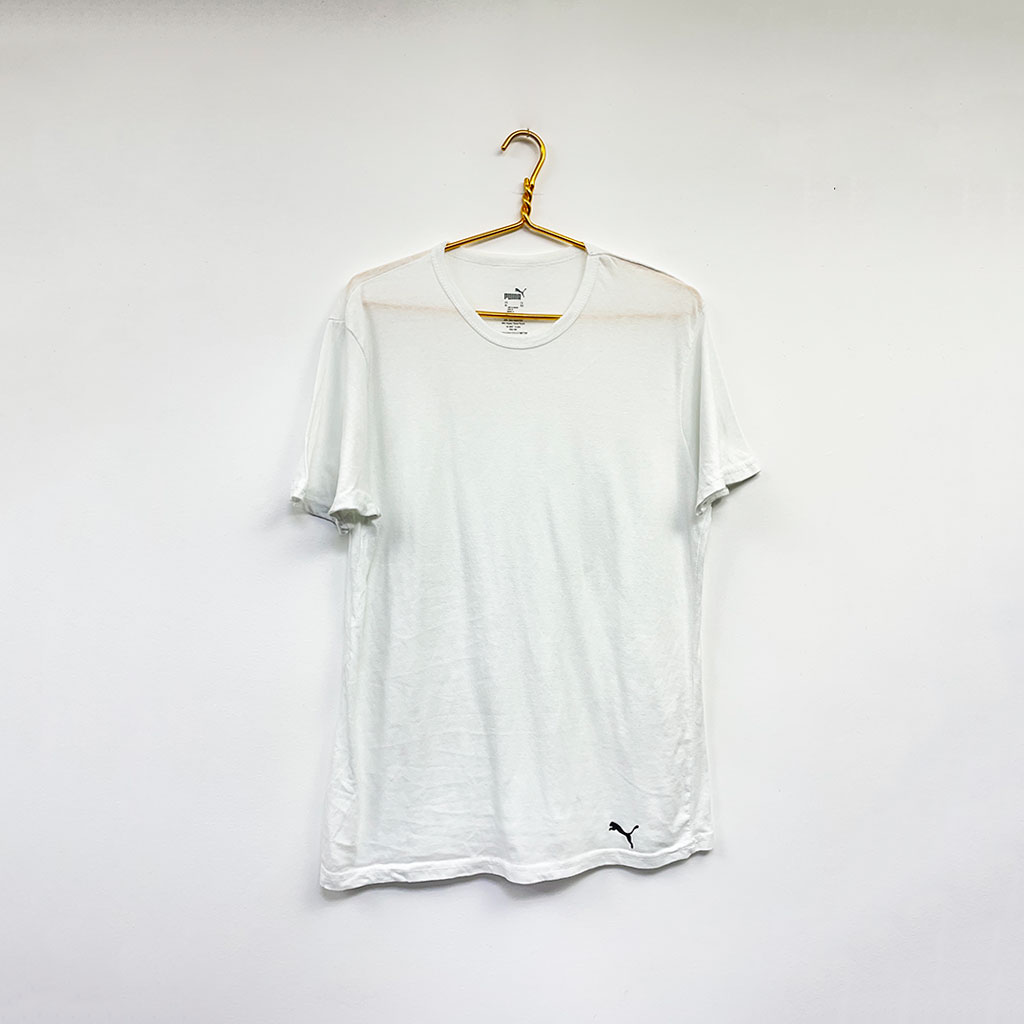 puma_5453 puma_5453