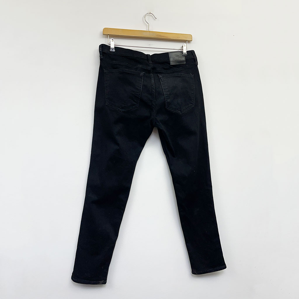 hollister_7876_3