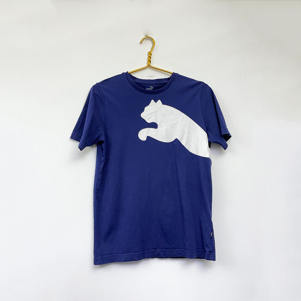 puma_8505 puma_8505